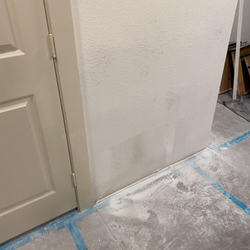 Apartment Mold Mitigation and Rebuild