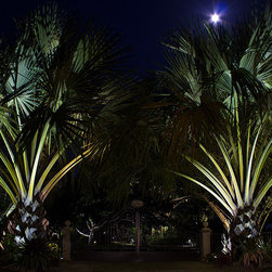 Outdoor Lighting - Outdoor Lighting