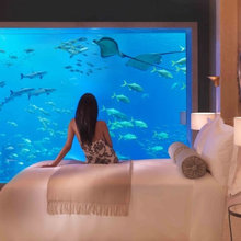 Aquarium