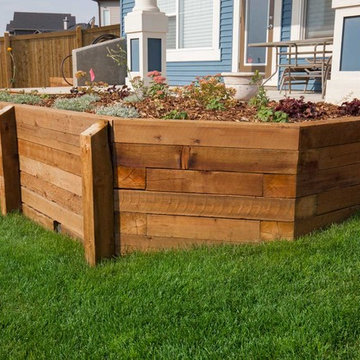 Tiers of Planter Beds
