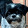 Edward Trujillo