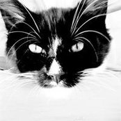 Catherine Holgate's photo