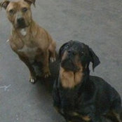 David Mann's photo