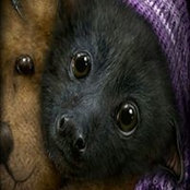 Iva Tomason's photo