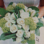 Irina Kasparian's photo
