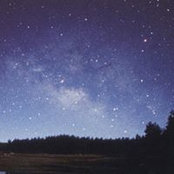 Shoshi Berger's photo