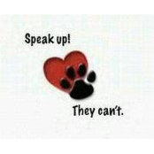 Suraiya Essa's photo