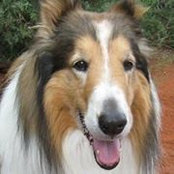 Diane Troxell's photo