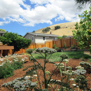 Laurence Residence - South San Jose, California