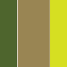 Colores