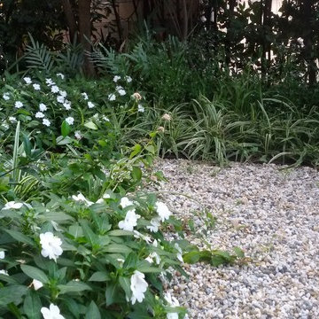 SMALL BUT CUTE