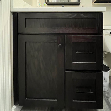 Guest Bathroom with Onyx Cabinets and Tyvarian shower