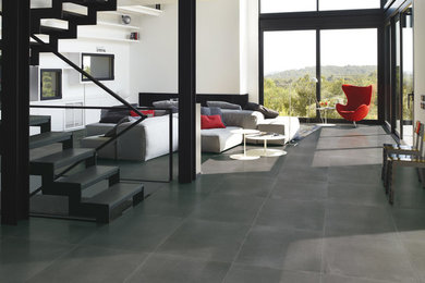Inspiration for a contemporary living room remodel in San Diego