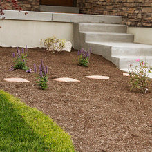 Yard Ideas