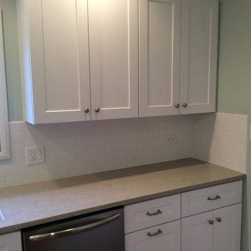 Wilmette IL Kitchen