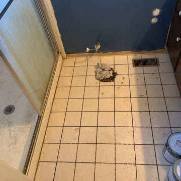 Bathroom remodel- Soquel