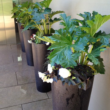 Planters - various