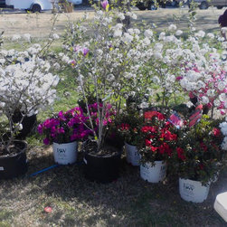 Inventory Samples - Gardening And Lawn Care