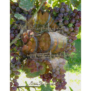 Vino Ovid the Art of Love Graphic Art on Wrapped Canvas