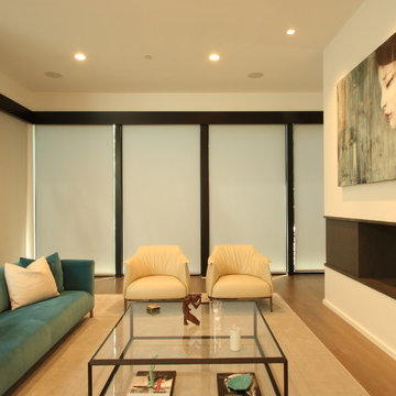 Chicago Bucktown Modern Masterpiece
