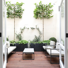 Denver Ideas