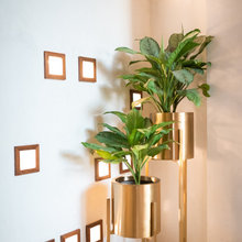 Show pieces