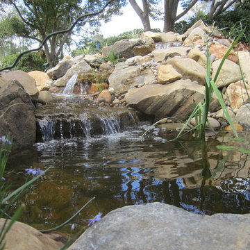Sanford 4 x 6' Pond