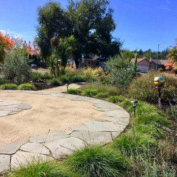 Santa Rosa Front Garden