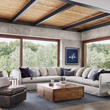 Living Room Looks