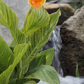 Streams and Waterfalls