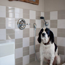 Oki - Dog Wash