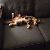 Beth Elko's photo