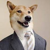 Andrew Kozlik's photo