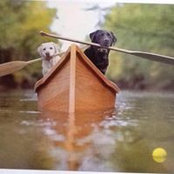 Kati Murphy's photo