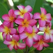 Donna Christy's photo