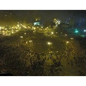 Mohamed Rashed's photo