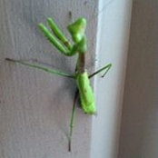 Timothy Elwell's photo