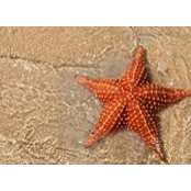Jennifer Bishop's photo