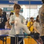 Tomoe Ogawa's photo