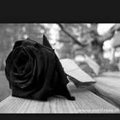 Dania Mejia's photo