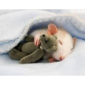 Patricia Caffet's photo