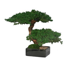 Wish List