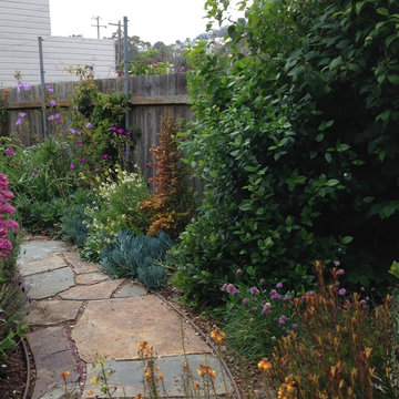 Bernal Heights Habitat and Edible Garden