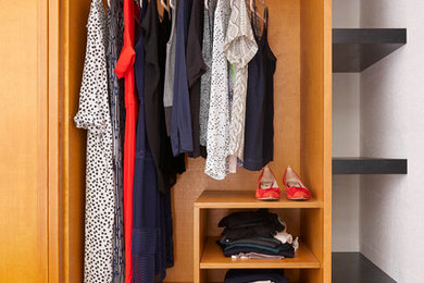 This is an example of a mid-sized midcentury storage and wardrobe in London.