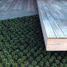 garden  - landscaping general