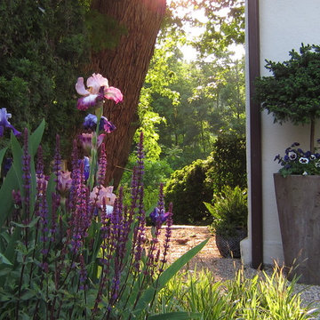 California, Provence in Bronxville