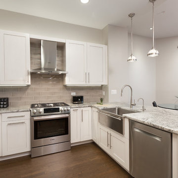 Gold Coast Chicago Kitchen Design & Remodel