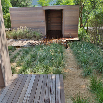 Coastal Seashore Garden| Minimal Plant Diversity