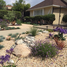 Frontyard