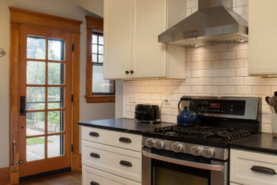 Kitchen - dark wood floor and brown floor kitchen idea in Minneapolis with flat-panel cabinets, white cabinets, soapstone countertops, stainless steel appliances and black countertops